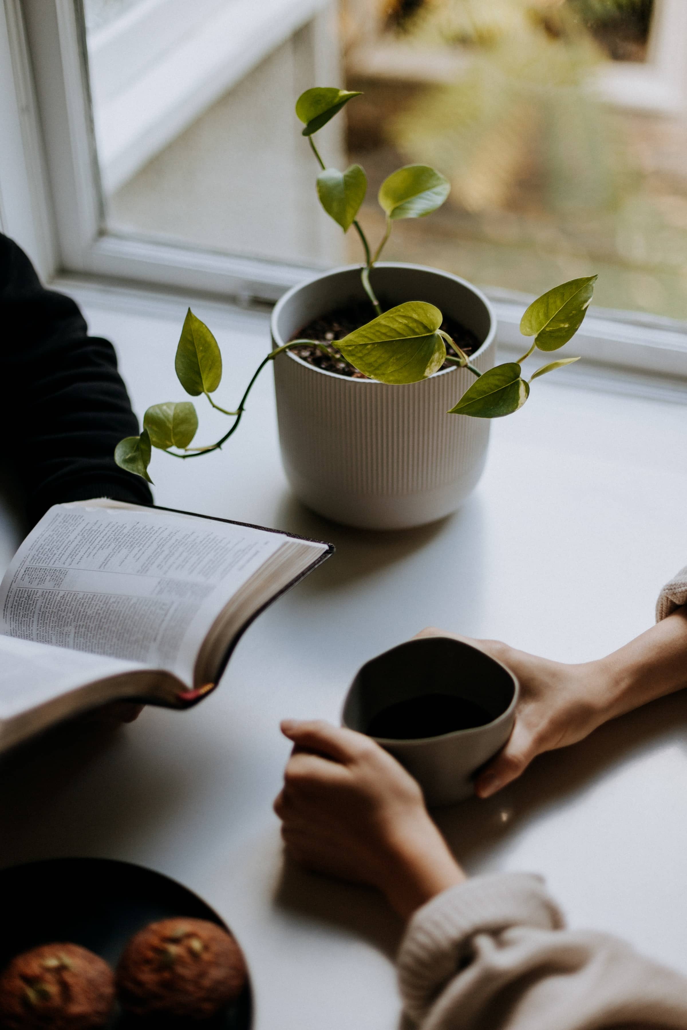 A table with a small plant and two people. One person is reading, the other is drinking coffee.